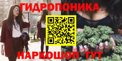 скорость Кимры